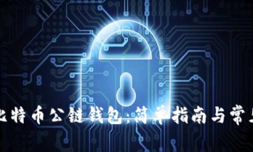 如何注册比特币公链钱包：简单指南与常见问题解答