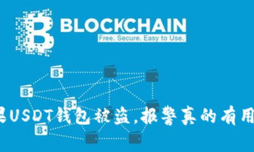 如果USDT钱包被盗，报警真的有用吗？