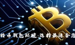 深入了解比特币钱包环境