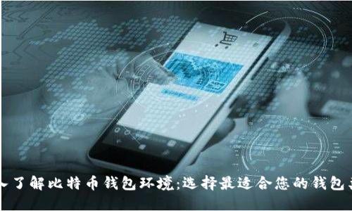 深入了解比特币钱包环境：选择最适合您的钱包类型