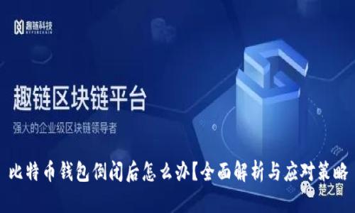 比特币钱包倒闭后怎么办？全面解析与应对策略