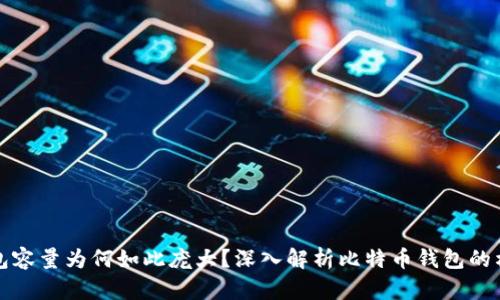比特币钱包容量为何如此庞大？深入解析比特币钱包的构造与数据