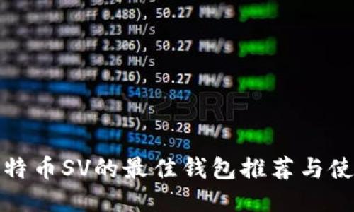 适合比特币SV的最佳钱包推荐与使用指南
