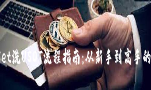 tpWallet洗USDT流程指南：从新手到高手的全解析