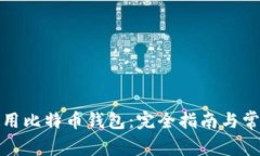 如何安全使用比特币钱包