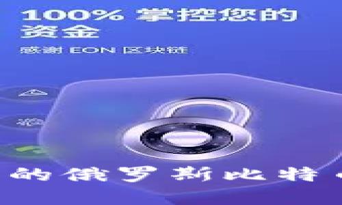 如何选择最安全的俄罗斯比特币钱包：完整指南