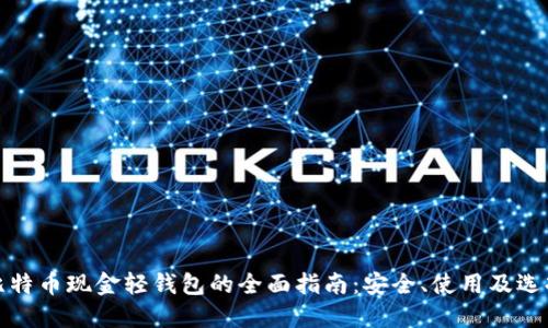 比特币现金轻钱包的全面指南：安全、使用及选择