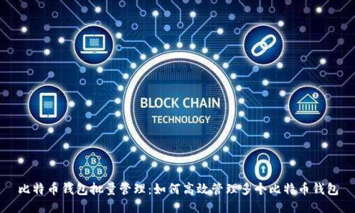 比特币钱包批量管理：如何高效管理多个比特币钱包
