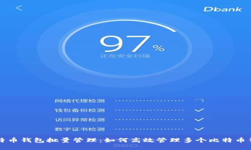 比特币钱包批量管理：如何高效管理多个比特币钱包