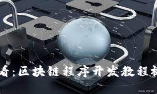 新手必看：区块链程序开发教程视频指南
