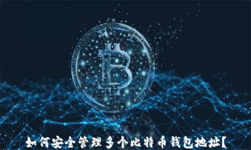 
如何安全管理多个比特币钱包地址？