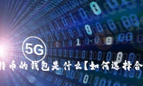 一般存比特币的钱包是什么？如何选择合适的钱包？
