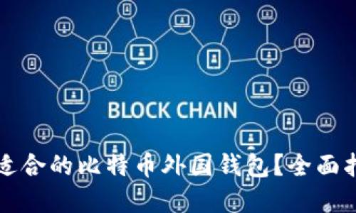如何选择适合的比特币外国钱包？全面指南与推荐