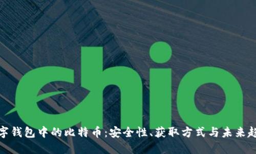 数字钱包中的比特币：安全性、获取方式与未来趋势