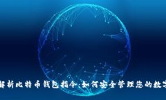全面解析比特币钱包指令