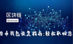 2015年比特币钱包恢复指南