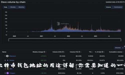 比特币钱包地址的用途详解：你需要知道的一切