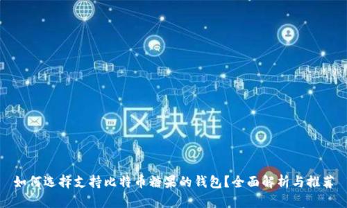 如何选择支持比特币糖果的钱包？全面解析与推荐