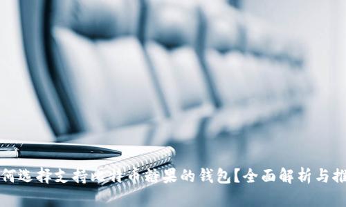 如何选择支持比特币糖果的钱包？全面解析与推荐