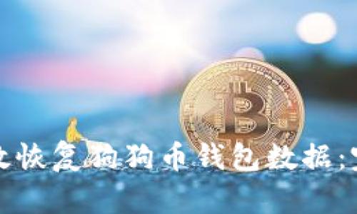 如何有效恢复狗狗币钱包数据：完全指南