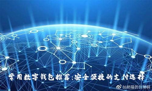 常用数字钱包推荐：安全便捷的支付选择