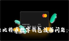 如何解决比特币数字钱包