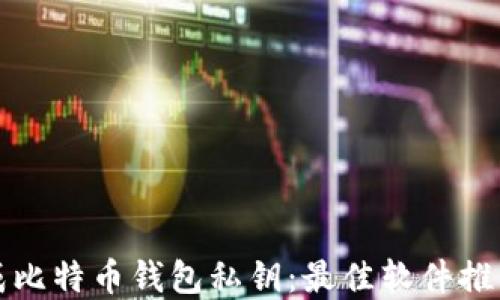 
如何安全生成比特币钱包私钥：最佳软件推荐与实用指南