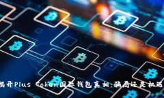 揭开Plus Token国际钱包真相