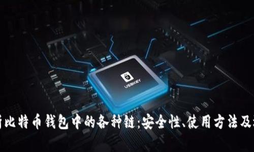 全面解析比特币钱包中的各种链：安全性、使用方法及选择指南