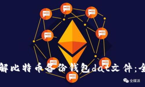 如何破解比特币备份钱包dat文件：全面指南