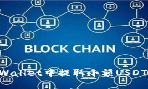 如何在TPWallet中提取小额USDT：完整指南