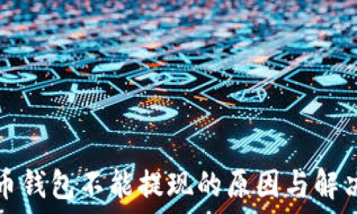  
比特币钱包不能提现的原因与解决方案