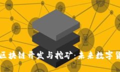 全面解析区块链开发与挖