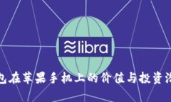 加密钱包在苹果手机上的