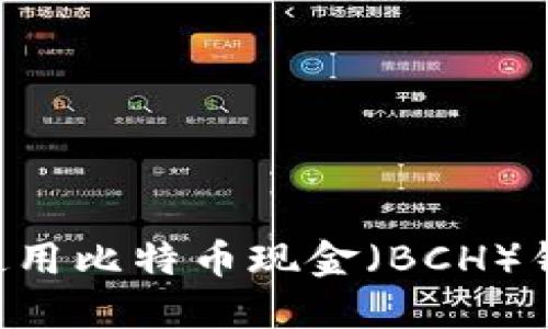 如何选择和使用比特币现金（BCH）钱包：全面指南