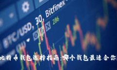 比特币钱包选择指南：哪