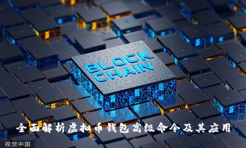 全面解析虚拟币钱包高级命令及其应用