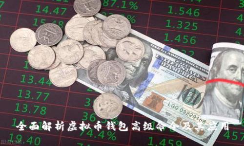 全面解析虚拟币钱包高级命令及其应用