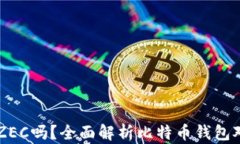 比特币钱包支持ZEC吗？全