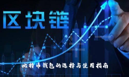 比特币钱包的选择与使用指南