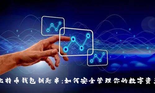 比特币钱包钥匙串：如何安全管理你的数字资产