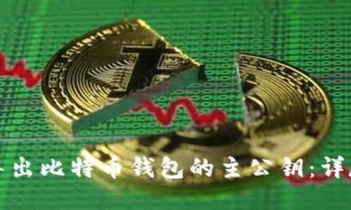 如何导出比特币钱包的主公钥：详尽指南