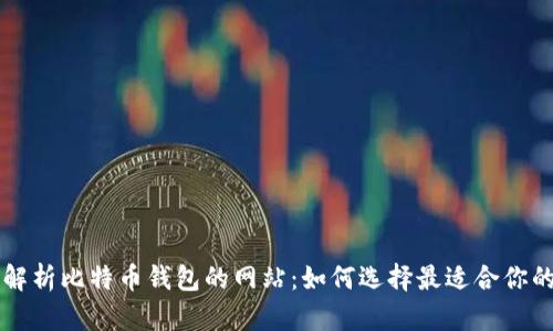 全面解析比特币钱包的网站：如何选择最适合你的平台