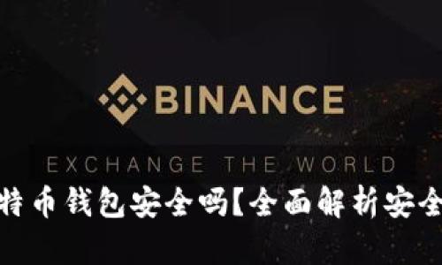火币网比特币钱包安全吗？全面解析安全性与风险