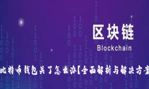 比特币钱包关了怎么办？全面解析与解决方案