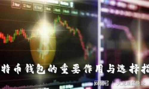 比特币钱包的重要作用与选择指南