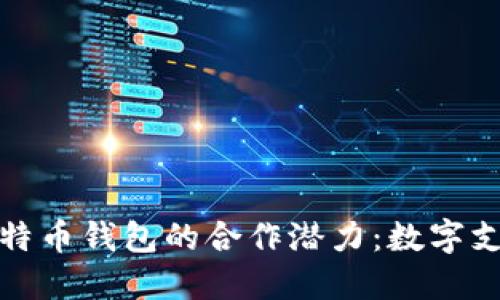 Visa与比特币钱包的合作潜力：数字支付的未来