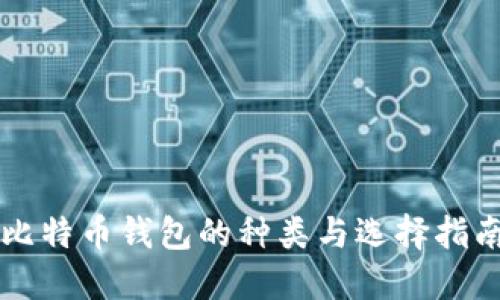 比特币钱包的种类与选择指南