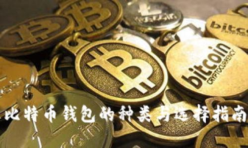 比特币钱包的种类与选择指南