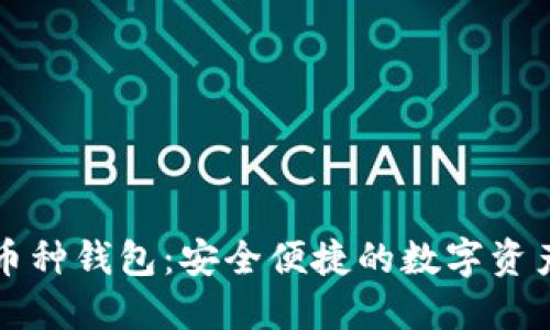 比特币多币种钱包：安全便捷的数字资产管理工具